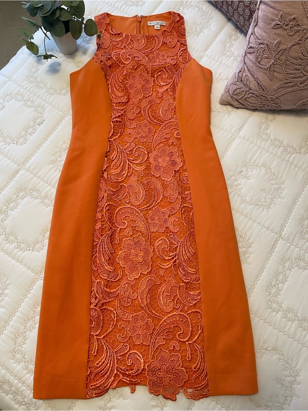 Eva Mendes for New York & Company Orange Lace-Panel Sheath Dress